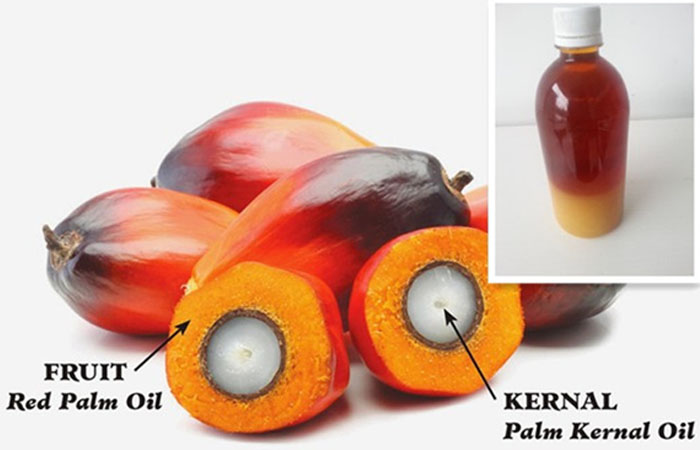 What Is The Prospect Of Palm Kernel Oil Manufacture Palm Oil 