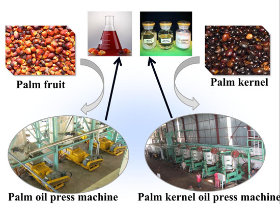 How much the palm fruit oil press machine?