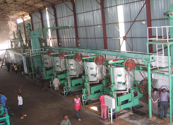 Main process of palm kernel oil press production line