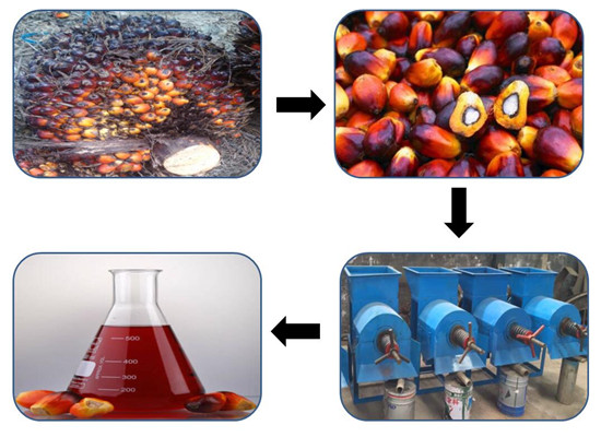 What are the features of palm oil making machines?