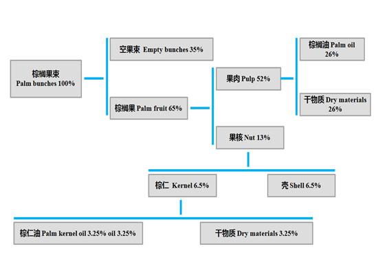 5 T/H of palm oil project economic benefit analysis