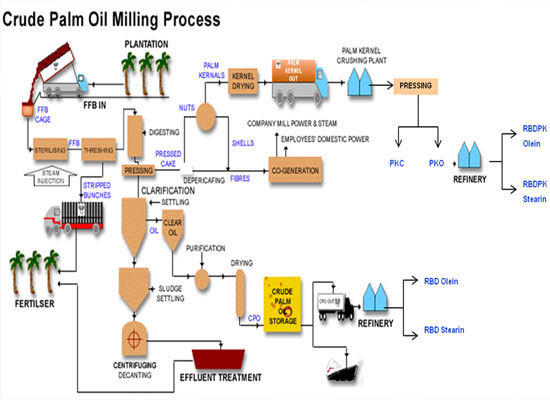 crude palm oil process flow chart