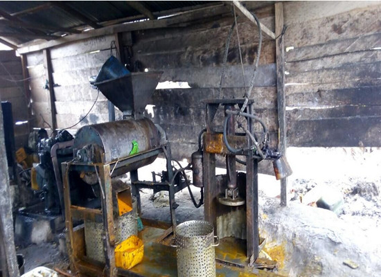 Small scale palm oil processing machine in Africa