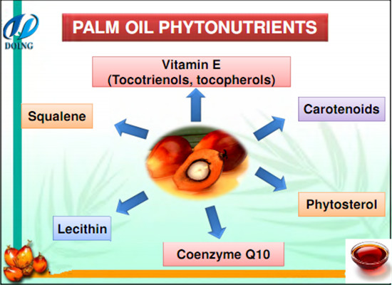 Is palm oil good for your healthy?