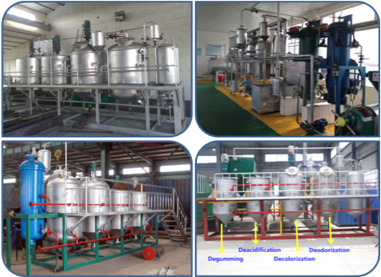 Professional palm oil refinery plant manufacturer