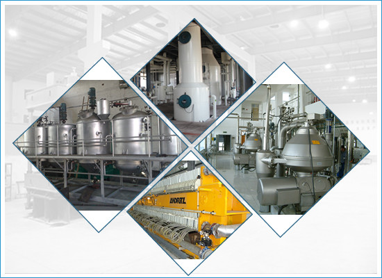 Widely used palm kernel oil refining machine/oil refinery plant