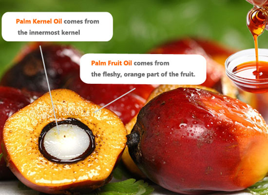 Palm oil is everwhere?