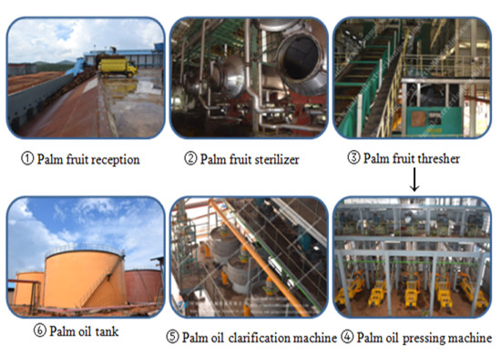 Crude palm oil making machine