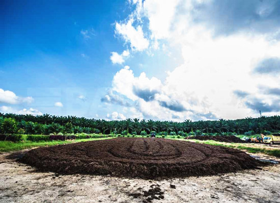 Palm oil mill effluent treatment