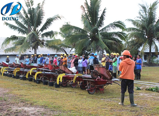 Palm oil:the process from palm fruit bunches to RBD palm oil