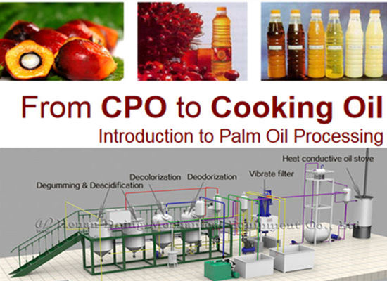 Palm oil refinery plant in nigeria