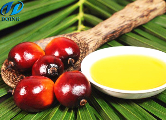 How to get palm oil from fresh palm fruit bunch?