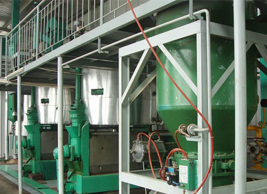 Palm kernel oil extraction machine