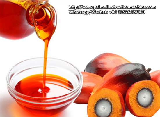 What is the usage of palm oil?