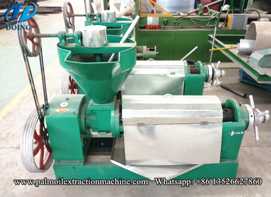 Where you can get the best palm kernel oil extraction machine in Malaysia?