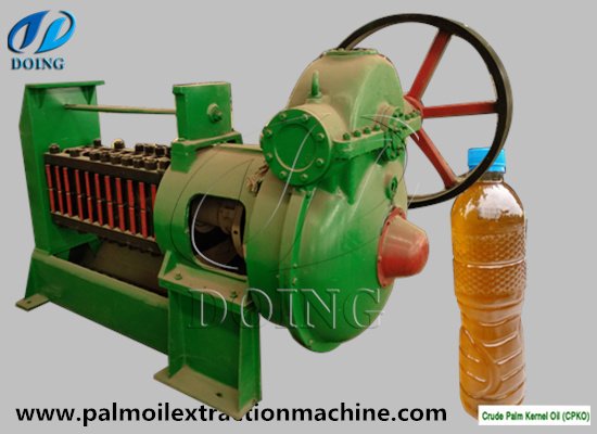 China best palm kernel oil expeller machine manufacturer supplier