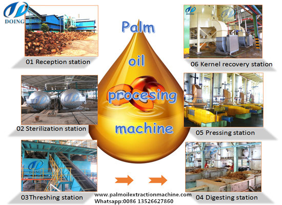 Three ways to produce palm oil