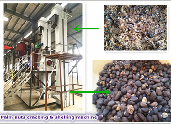 How to crack palm nut and separate palm kernel shell with new technology?