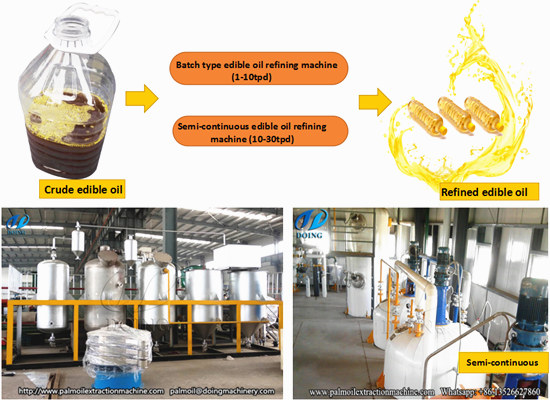 What factors affect palm oil refining process?