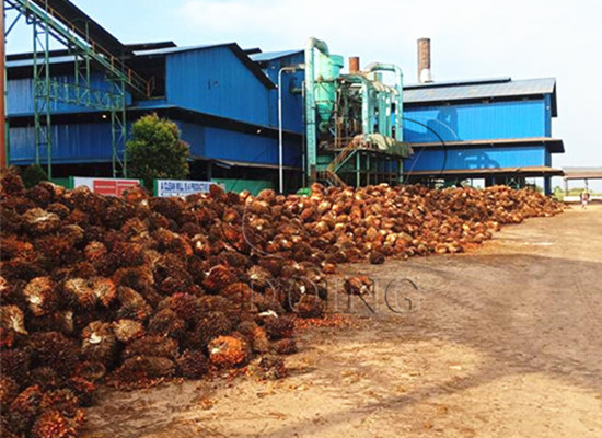 What factors affect most of oil palm production in Malaysia and Indonesia?