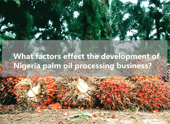 What factors effect the development of Nigeria palm oil processing business?