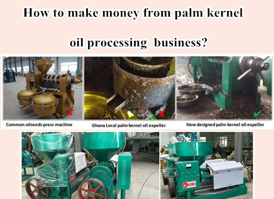 How to Make Money from Palm Kernel Oil Processing Business?