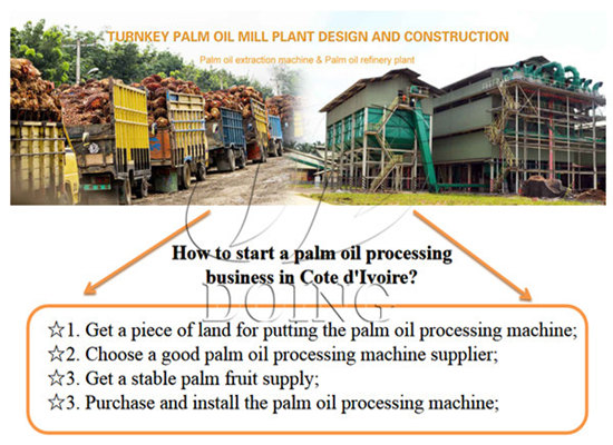 How to start a palm oil processing business in Cote d'Ivoire?