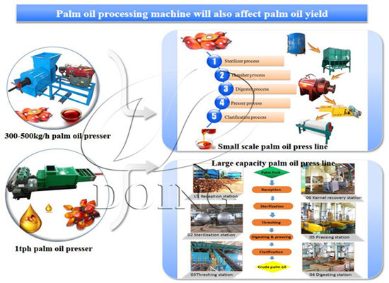 What factors affect palm oil yield?