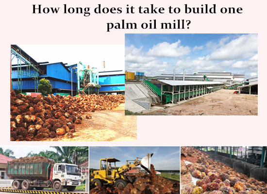 How long does it take to build one palm oil mill?