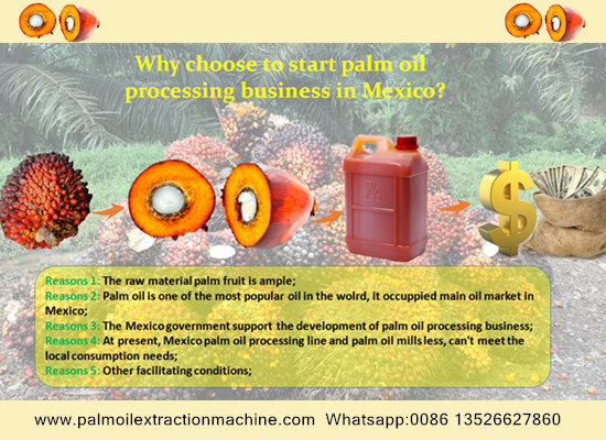 Why choose to start palm oil processing business in Mexico?