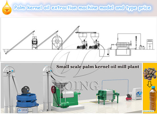 Palm kernel oil extraction machine model and type price