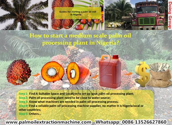 How to start a medium or small scale palm oil processing plant in Nigeria?