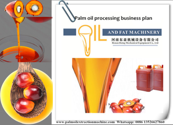 Palm oil processing business plan in Nigeria