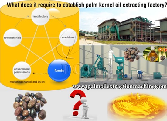 What does it require to establish palm kernel oil extracting factory?