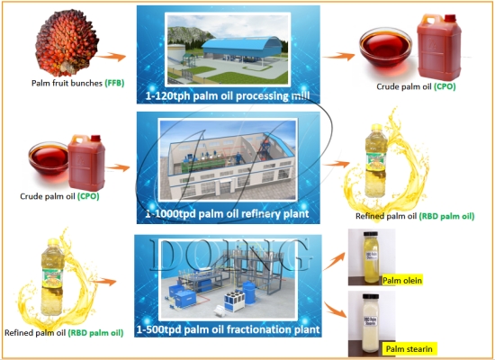 How to choose right palm oil machines for starting palm oil processing business in Africa?