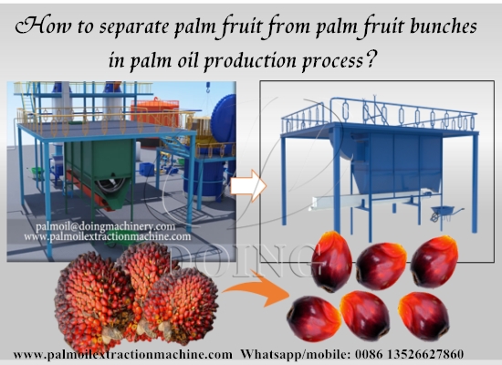 How to separate palm fruit from palm fruit bunches in palm oil production process?