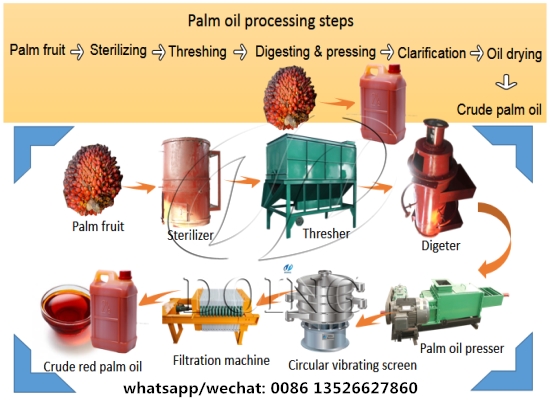 What is the processing steps for produce palm oil in palm oil mill?