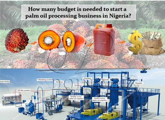 How many budget is needed to start a palm oil processing business in Nigeria?