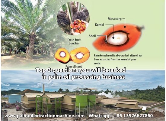 Top 3 questions you will be asked in palm oil processing business