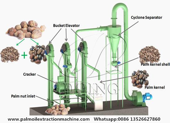 How does palm kernel cracker and separator machine work?