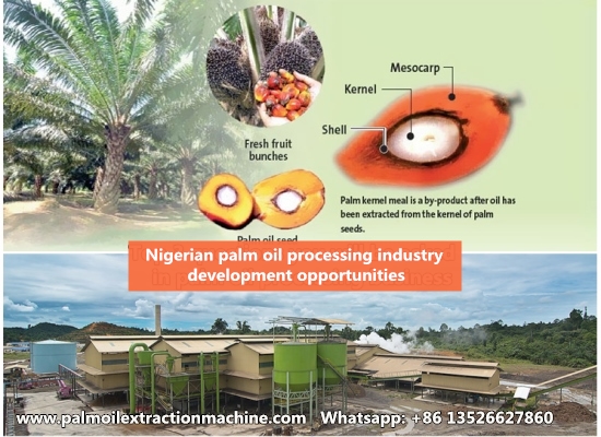 Government Policy and the Nigerian palm oil processing industry development opportunities