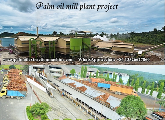 How to set up a palm oil mill and how long will it take to build a palm oil mill plant project?