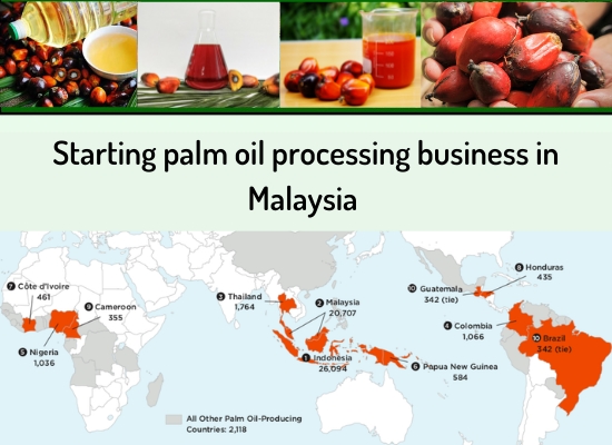 What are the advantages of starting a small scale palm oil processing business in Malaysia?