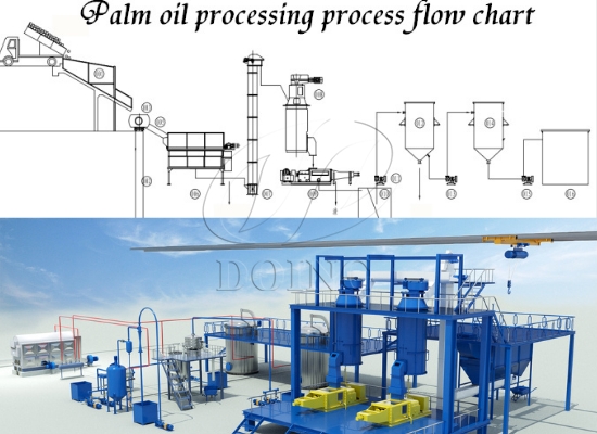 Palm oil extraction flow chart introduction