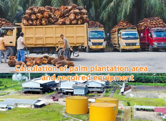 How many hectares of palm fruits plantation do I need to build a small palm oil mill?