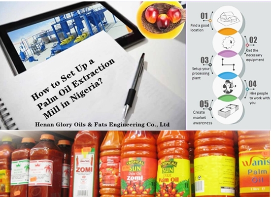 Why so many people choose to set up palm oil extraction mill in Nigeria? How to set up a palm oil extraction mill in Nigeria?