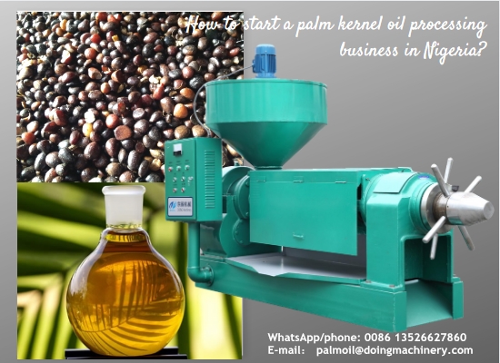 What should I do to start palm kernel oil processing business in Nigeria?