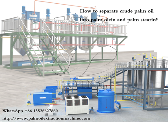 How to separate crude palm oil into palm olein and palm stearin?