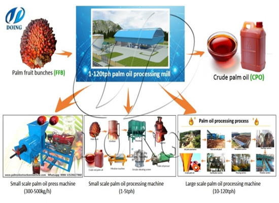 What are the different types of palm oil processing plants from Henan Glory Company?