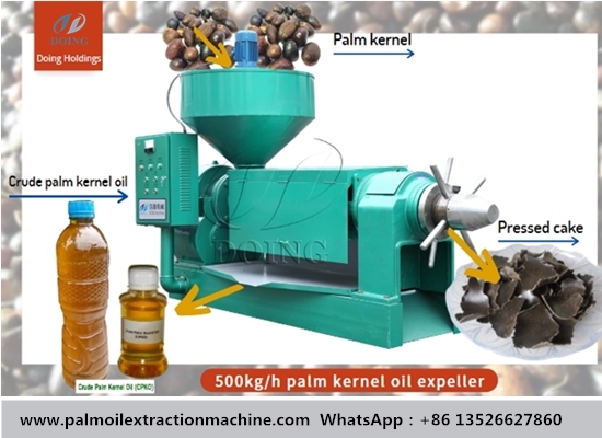 What makes a palm kernel oil expeller machine special?